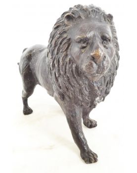 Bronze Lion Subject
